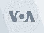 Arcega Report