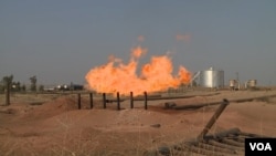 oil