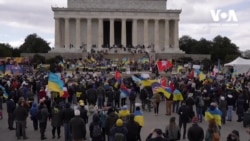 Допомога Україні зі США: в які сектори спрямувала свої зусилля українська діаспора. Відео