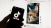 Another US State Sues TikTok, Saying It Lures Children Into Destructive Habits