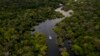 To Find Out How Wildlife Is Doing, Scientists Try Listening