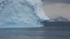FILE - Penguins swim in the sea as scientists investigate the impact of climate change on Antarctica's penguin colonies, on the northern side of the Antarctic peninsula, Jan. 15, 2022.