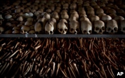FILE - Skulls and bones of some of those killed in Rwanda's genocide are seen at a memorial shrine at a Catholic church in Ntarama, Rwanda, April 4, 2014.