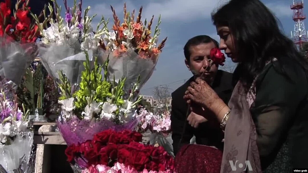 Pakistan Valentine