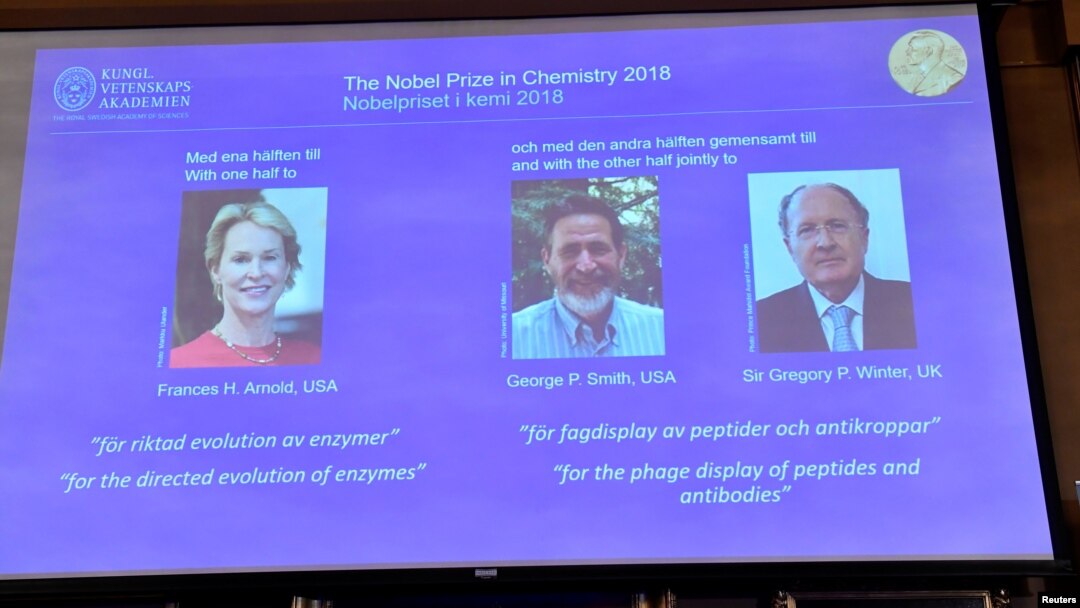 Pictures of the 2018 Nobel Prize laureates for chemistry: Frances H. Arnold of the United States, George P. Smith of the United States and Gregory P. Winter of Britain are displayed on a screen during the announcement at the Royal Swedish Academy of Scien