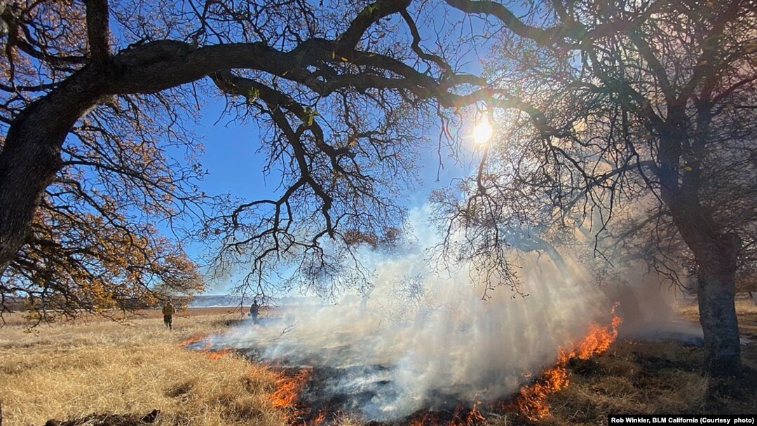 View of a Bureau of Land Management controlled burn in the Paynes Creek Wetlands portion of the Sacramento River Bend in California.