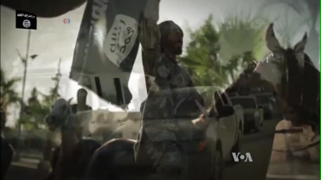 One Year After First US Airstrikes, Islamic State Still Rooted in Iraq, Syria