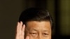中国国家副主席习近平(资料照片)