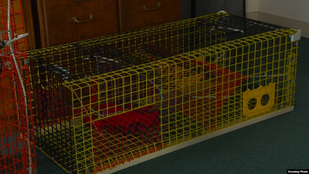 Riverdale Mills of Northbridge, Massachusetts, says its wire mesh products are used in most of the lobster traps in the United States and Europe, replacing traditional wooden devices.