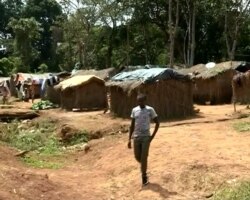 A village settlement near Meiganga, Cameroon. (M. Kindzeka/VOA)