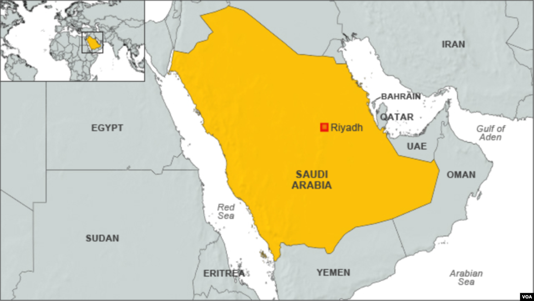 Human Rights Watch alleges that Saudi border guards have killed at least hundreds of Ethiopian migrants and asylum-seekers trying to cross from Yemen into Saudi Arabia.