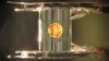 Scientists Cite Advances in Controlled Fusion Research