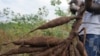 WFP: 17 African Countries Have Protracted Food Insecurity