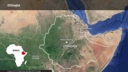 የዜግነት አገልግሎት ሁለተኛ ዙር ተጀመረ