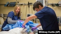 Organ Transplants