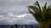 The Caucasus Mountains, site of several 2014 Winter Olympic events, rise in the background as a palm tree stands in the Coastal Cluster's Olympic Park in Sochi, Russia, Jan. 30, 2014.