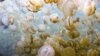 Jelly Fish Lake is an ancient marine habitat containing millions of jellyfish on the island nation of Palau.