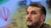 Iran Team to Head to Vienna for UN Nuclear Watchdog Talks