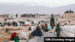 وزارت امور مهاجرین افغانستان می‌گوید که تنها سال گذشته نزدیک به یک میلیون افغان از محلات اصلی شان بیجا شده اند