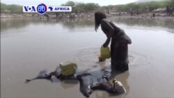 VOA60 AFRICA - MARCH 07, 2016