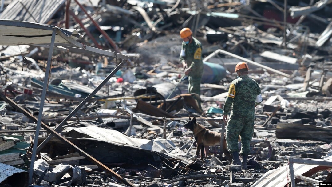 Handlers and their dogs carry out a search amidst the wreckage of houses destroyed in an explosion at the San Pablito fireworks market outside the Mexican capital, in Tultepec, Mexico, Dec. 21, 2016. 