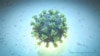 Una imagen de computadora creada por Nexu Science Communication junto con el Trinity College en Dublín, muestra un modelo estructuralmente representativo de un betacoronavirus, que es el tipo de virus vinculado al COVID-19. [Vía Reuters]