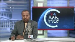▶ፈነወ ድምጺ ኣመሪካ ቋንቋ ትግርኛ ጥቅምቲ 26,2021