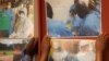 Delegates paste enlarged photos of health workers at work in affected west African countries prior to attending an Ebola preparedness conference in Johannesburg, Oct. 10, 2014.