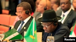 Nigeria's President Goodluck Jonathan (R) and his Tanzanian counterpart attend a sessions marking the 50th anniversary of the African Union in Addis Ababa, May 25, 2013.