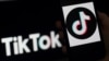 一张显示短视频应用TikTok标识的照片。