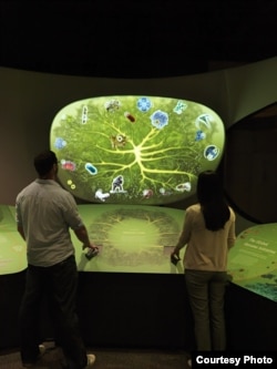 Visitors explore the human genome and ancient genomic history. (Donald E. Hurlbert & James Di Loreto, Smithsonian)