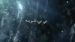 بي بي شیرینه – په ټیلې ویژن