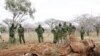 US Interior Secretary to Help Fight African Wildlife Trafficking