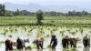 ရက် ၁၀၀ စီမံကိန်း အဟန့်အတားများ