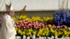 16x9 Image