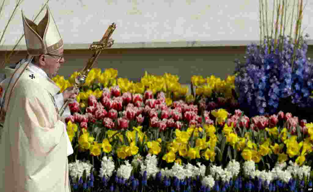 Pope Francis walks past flowers as he celebrates the Easter Mass, in St. Peter's Square, at the Vatican, April 16, 2017.