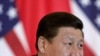 中国国家副主席习近平(资料照片)