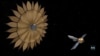 16x9 Image