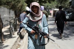 چەکدارێکی تاڵیبان لە ناوچەیەکی کابولی پایتەخت، 22 ی مانگی هەشتی 2021