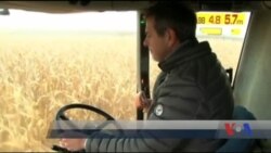 Міжнародний валютний фонд очікує від України якнайшвидшого відкриття ринку землі. Відео