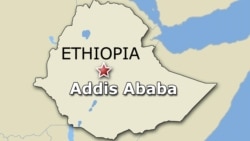 የቡርቃ ዝምታ