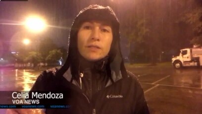 Celia Mendoza's Video Report From Houston