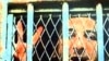 В Індії заарештовано журналіста за підозрою у нападі на ізраїльських дипломатів