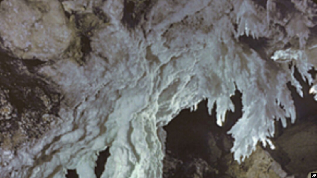 This photo by Dave Bunnell of the Chandelier Ballroom in Lechuguilla Cave shows him standing by the largest known gypsum stalactites in the world.
