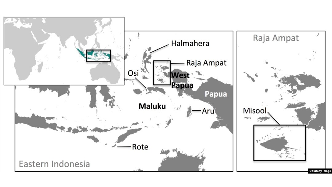 The world's largest shark fin industry lies in the heart of the Coral Triangle (Courtesy of Vanessa Jaiteh).
