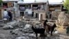 Monsoon Floods Kill 80 in Pakistan, Afghanistan