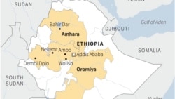 ሥልጠና ላይ የነበሩ የኦነግ የቀድሞ ታጣቂዎች ወደ ሥራ ሊሰማሩ ነው
