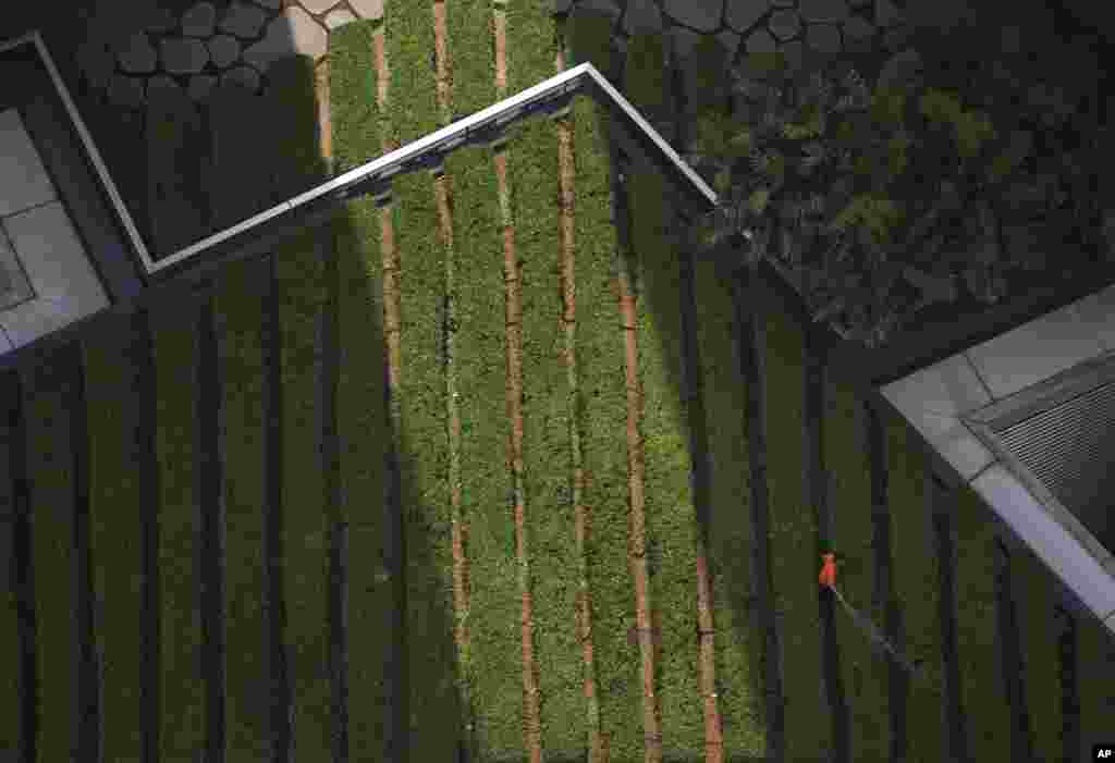A maintenance worker waters a rooftop garden on a building in the central business district of Kuala Lumpur, Malaysia.