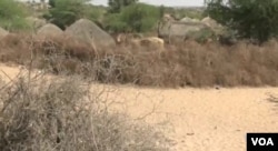 Many villages in the Tharparkar area are far from cities, with little or no access to a road network.