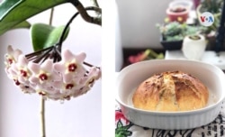 Este es el resultado del laboratorio fotográfico que la diseñadora ha montado en su casa. Fotos: Lida R. Chaparro S. Instagram: @lidavitrea.